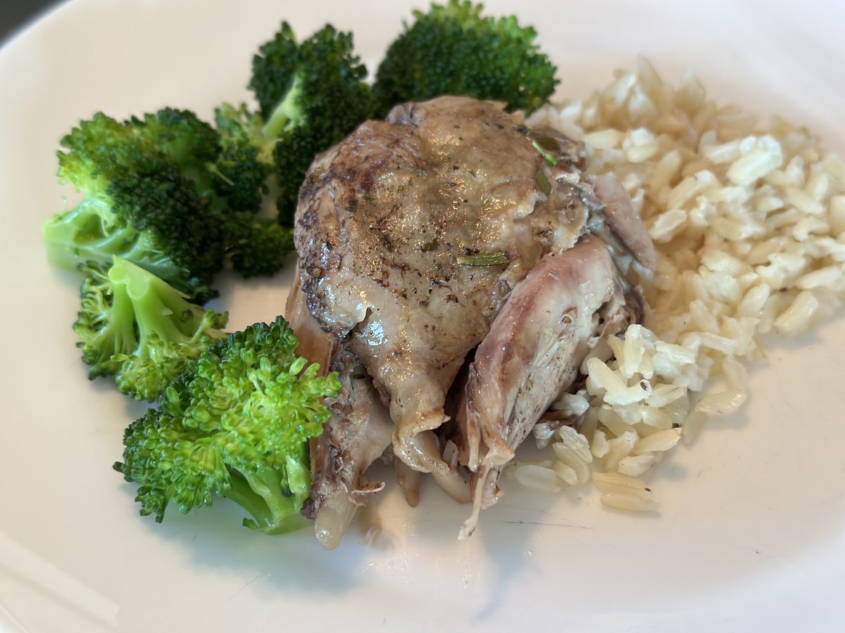 A plated dinner on a white plate - a pale roasted bone-in chicken thigh with steamed broccoli florets on one side and seasoned whi