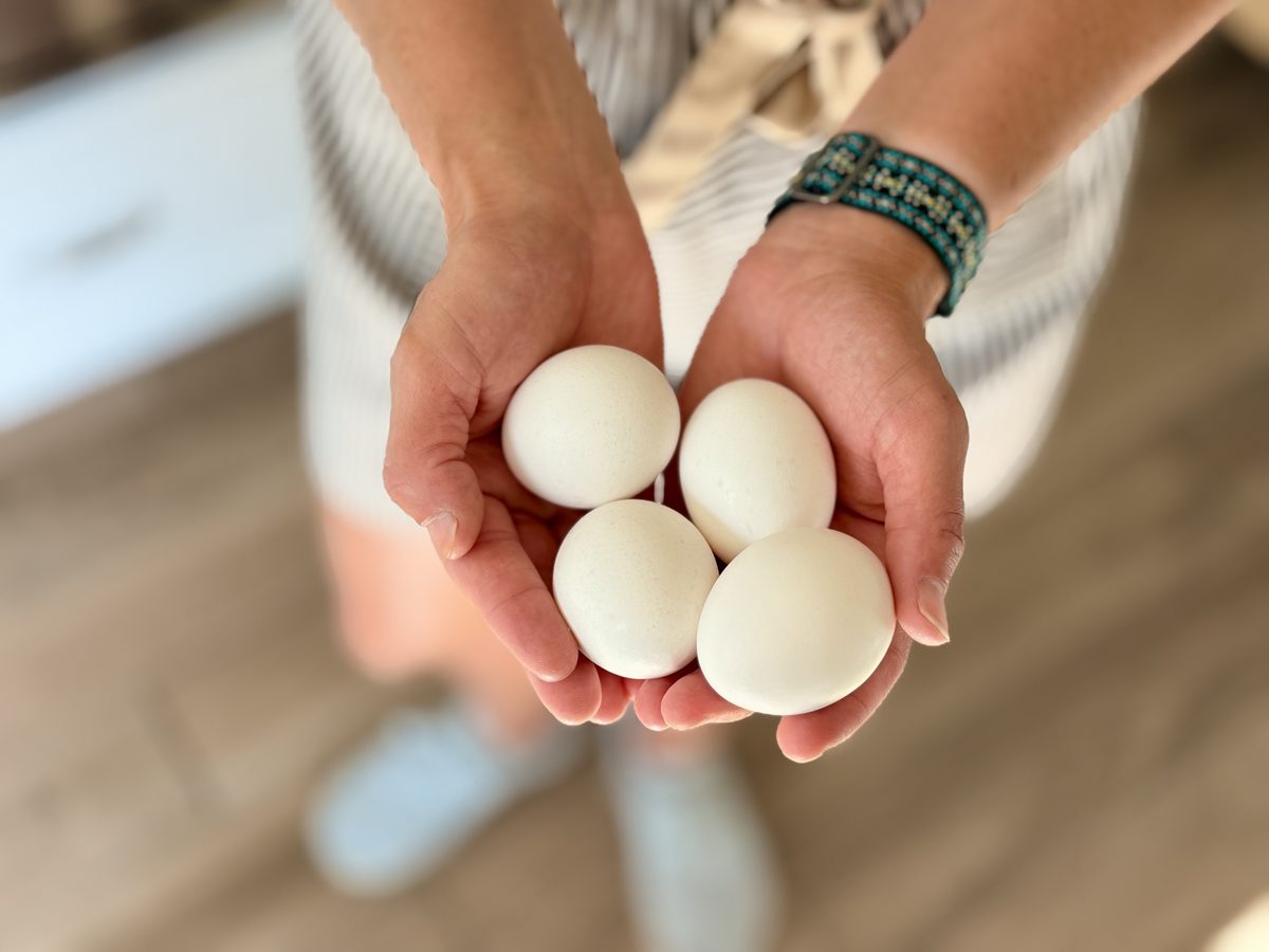 Eggs