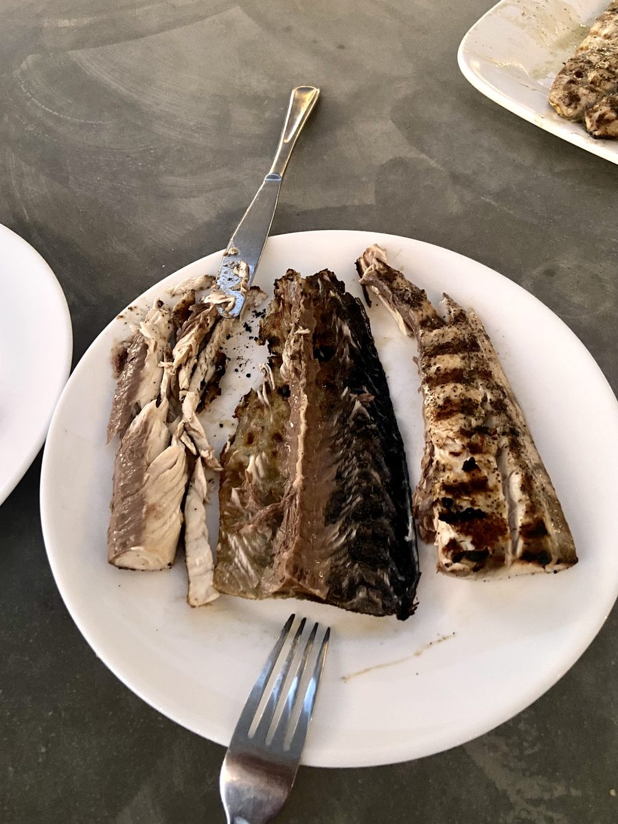 Three grilled fish fillets with charred skin on a plain white plate with a fork and knife, on a grey concrete counter