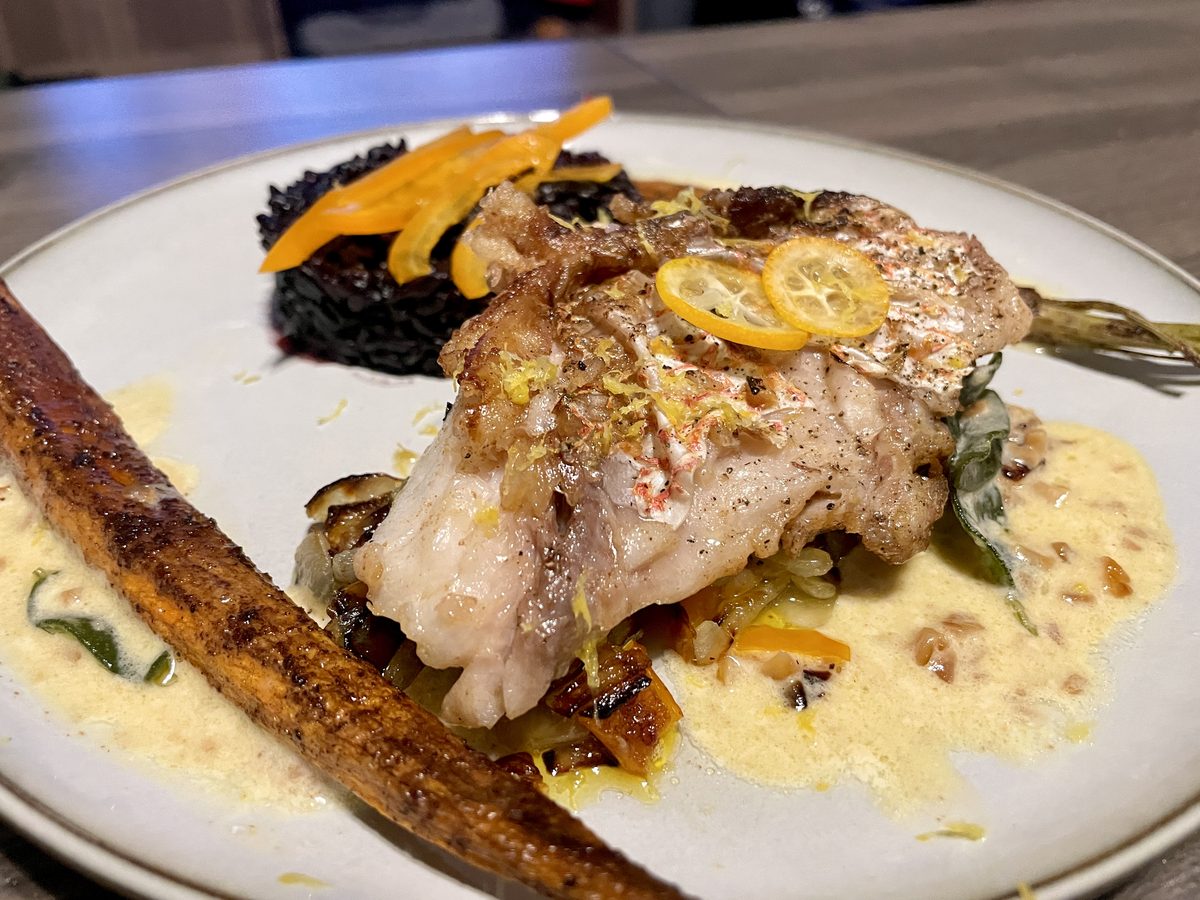 A pan-seared white fish fillet topped with citrus slices over black rice with a cream sauce and a roasted carrot on a white plate