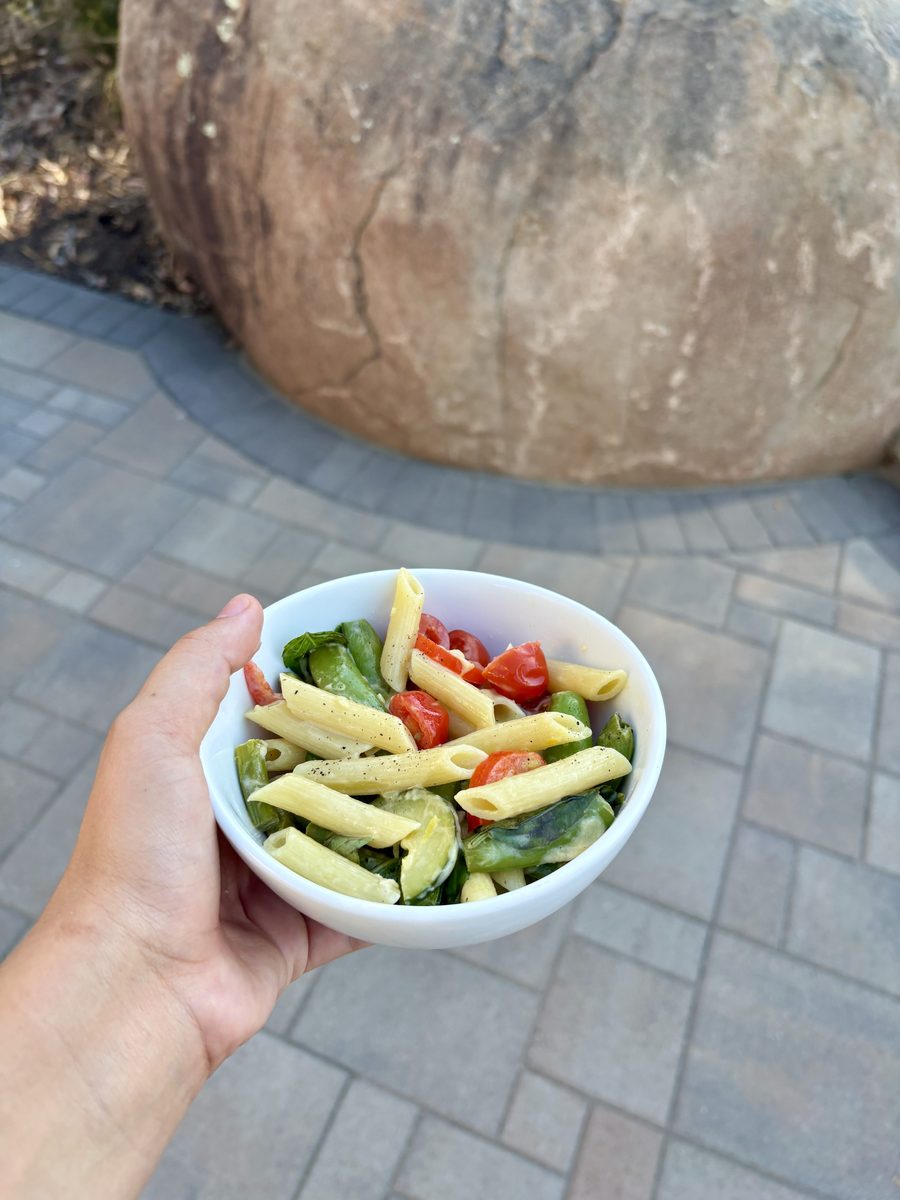 A hand holds a small white bowl of penne pasta primavera with cherry tomatoes and greens above a paver patio, a boulder in the bac