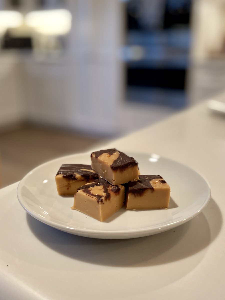Peanut butter chocolate fudge squares