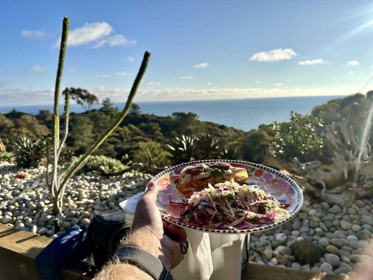 Seafood plate with ocean view