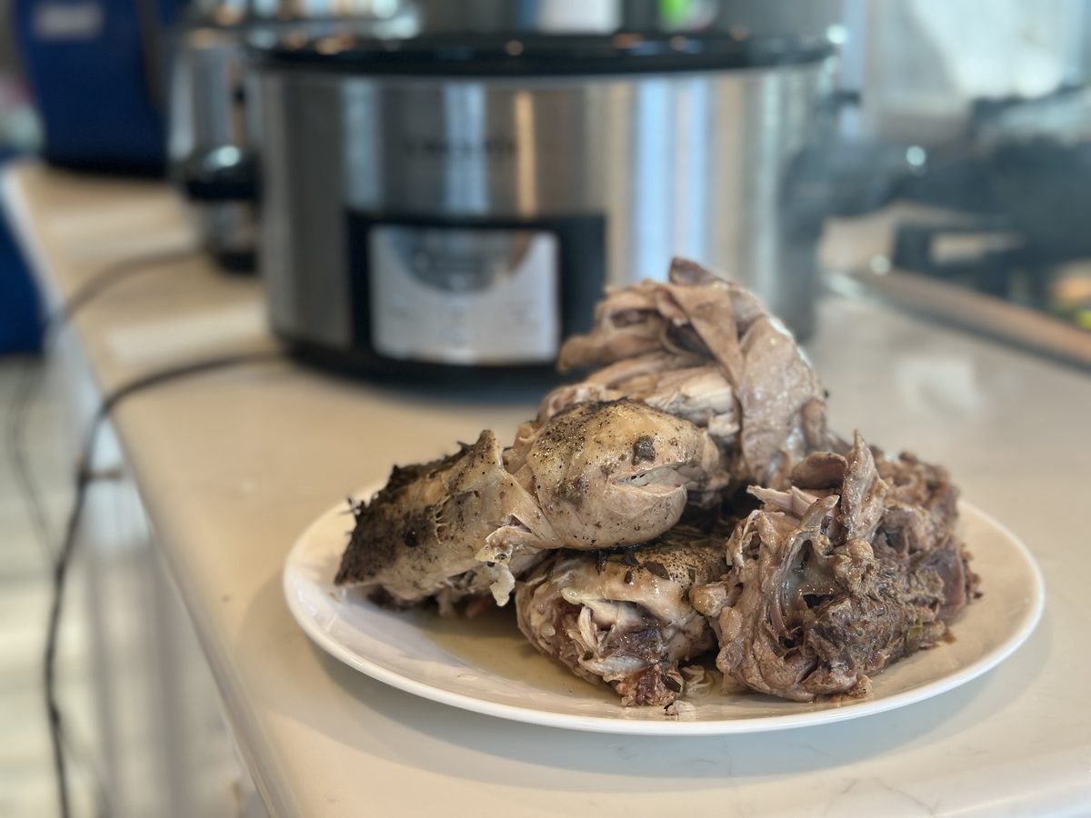 A white plate heaped with pale pulled-apart cooked poultry pieces, including bone-in parts, on a counter in front of a stainless s